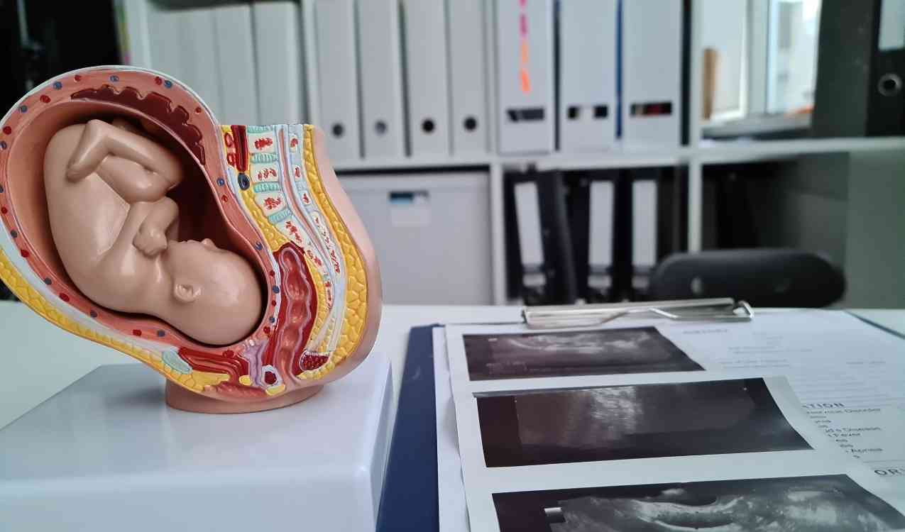 KaratasHastanesiBlog