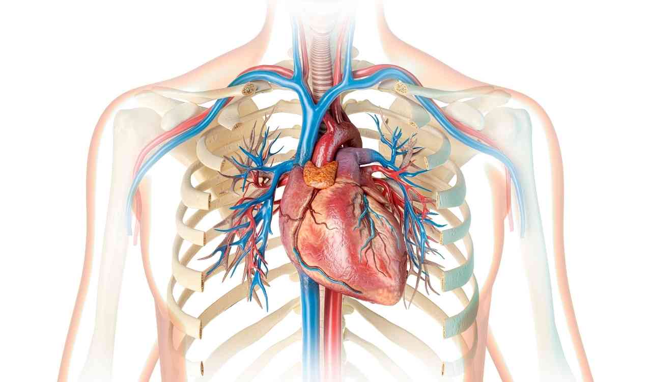 KaratasHastanesiBlog